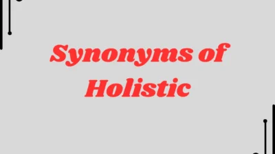 Synonyms of Holistic A