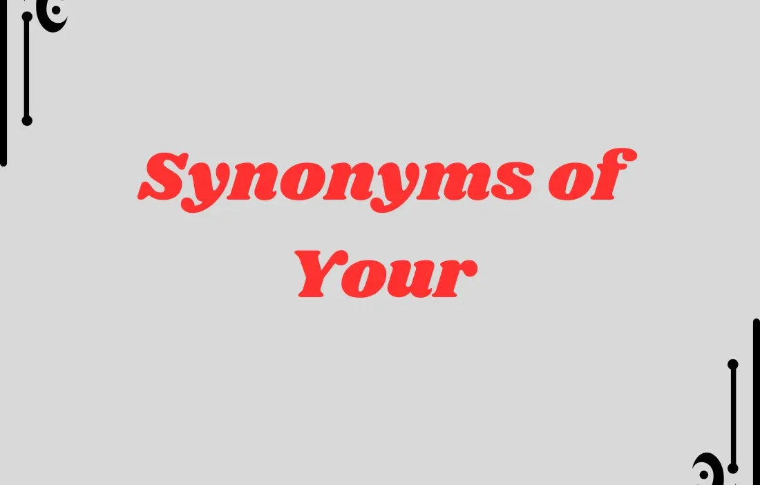 Synonyms of Your A