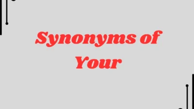 Synonyms of Your A