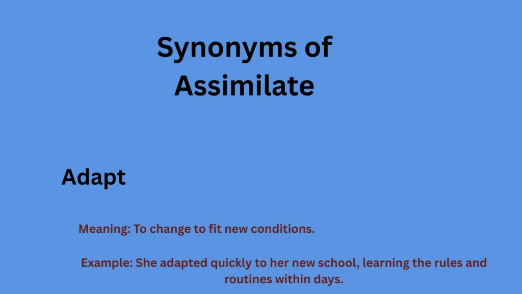 Synonyms of Assimilate
