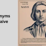 Synonyms of Naive in text
