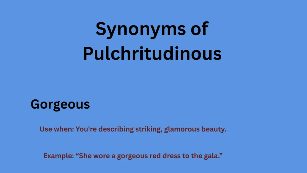 Synonyms of Pulchritudinous