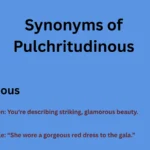 Synonyms of Pulchritudinous