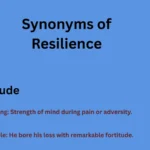 Synonyms of Resilience