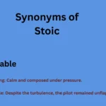 Synonyms of Stoic