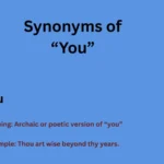 Synonyms of You