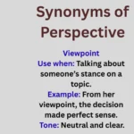 Synonyms of perspective explained