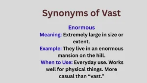 Synonyms of Vast Explained