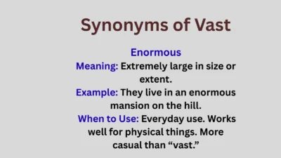 Synonyms of Vast Explained