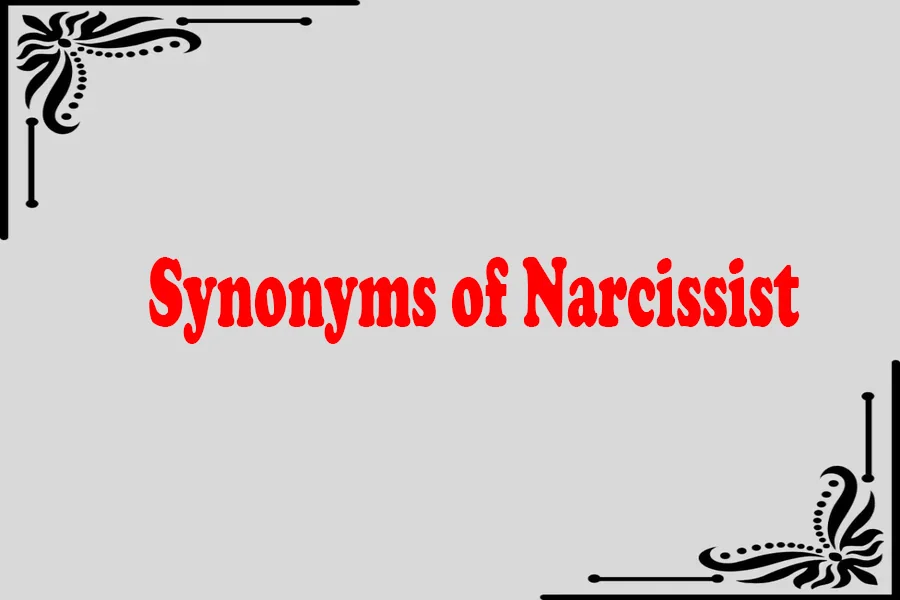 Synonyms of Narcissist