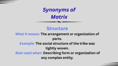 Synonyms of Matrix: Tips, Examples, and Best Uses