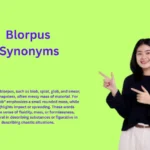 Blorpus Synonyms: Creative Words You Must Know