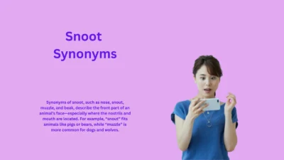 Snoot Synonyms That Reveal Surprising Animal Details