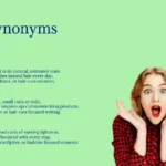 Afro Synonyms That Celebrate Natural Hair Style