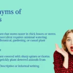 Cactus Synonyms That Sharpen Your Writing