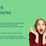 Which Synonyms That Clarify Choices Effortlessly Today