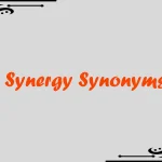 Synergy Synonyms