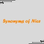 Synonyms of Nice