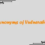 Synonyms of Vulnerable