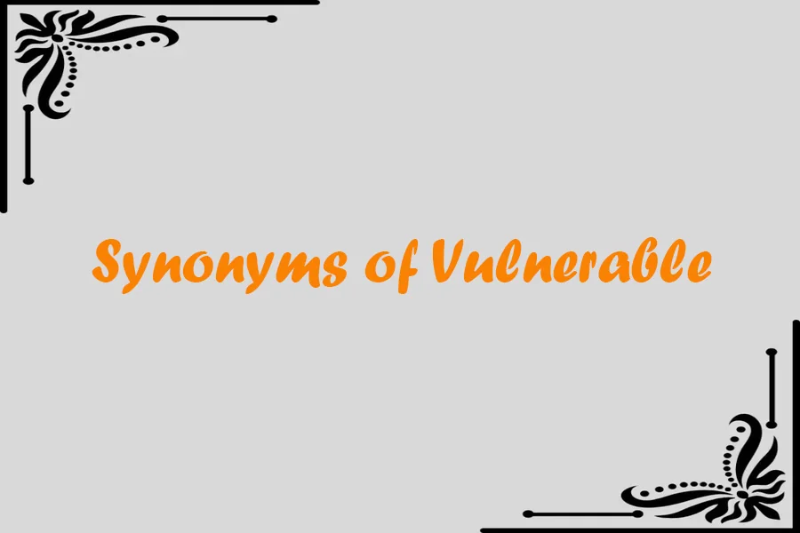 Synonyms of Vulnerable