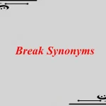 Break Synonym