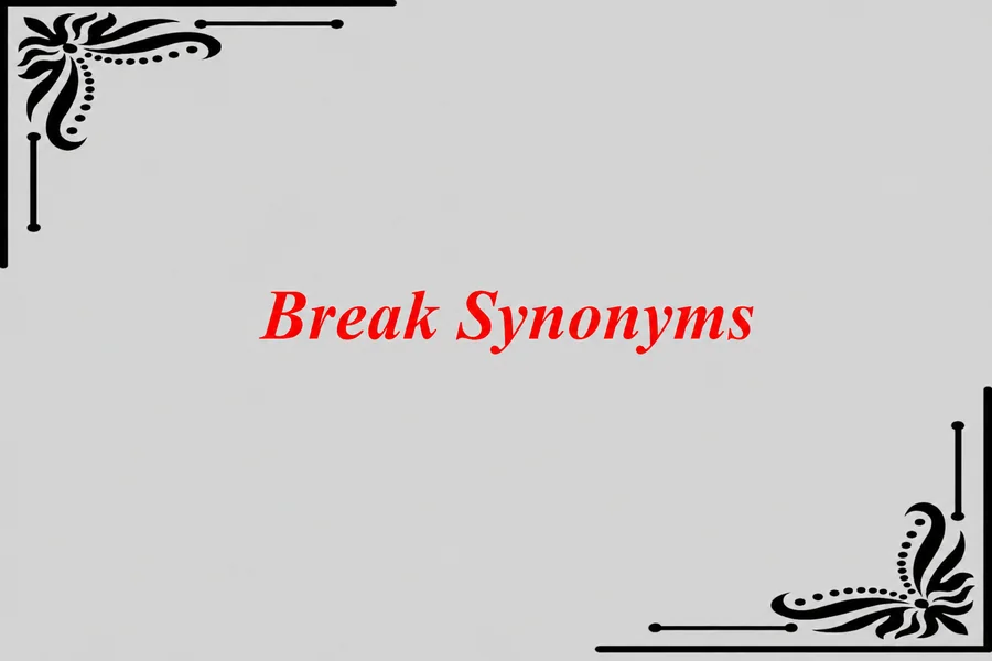 Break Synonym