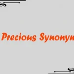 Precious Synonym